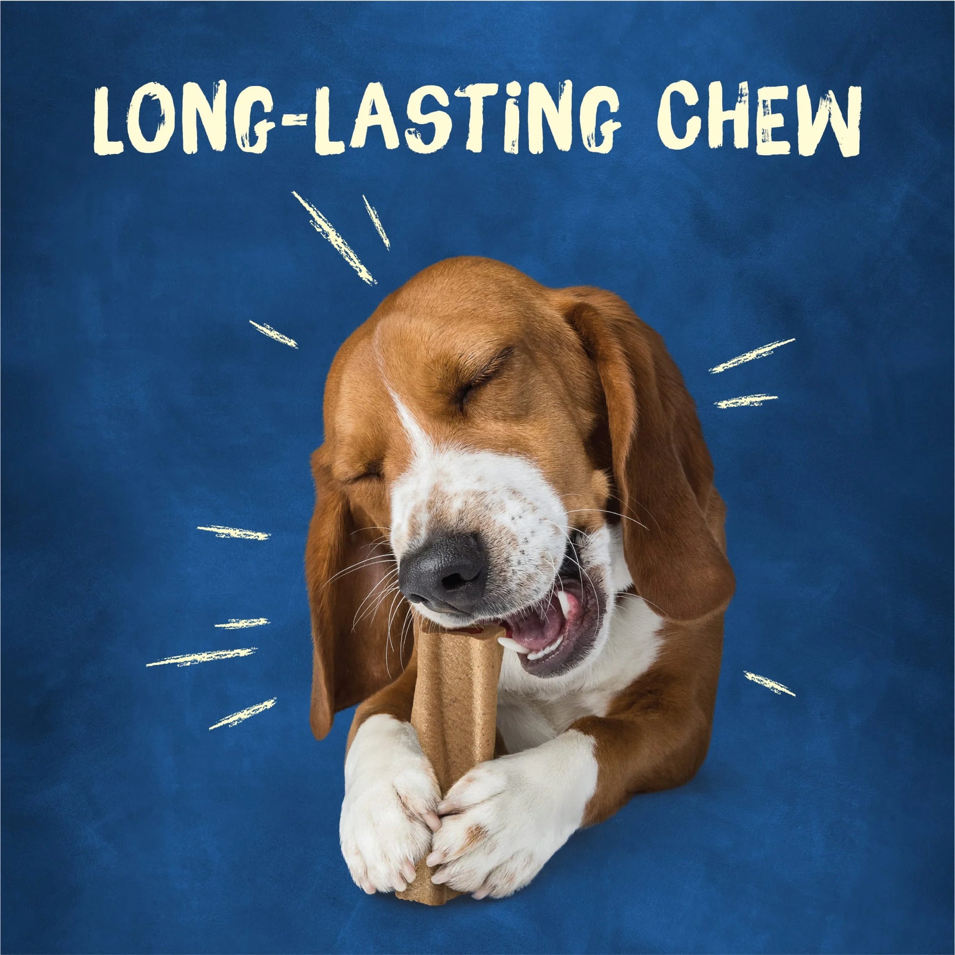 Purina  30-70+ Lbs Dog Treats Original Pork, Long-Lasting Chews, 21 Oz Pouch (6 Count)