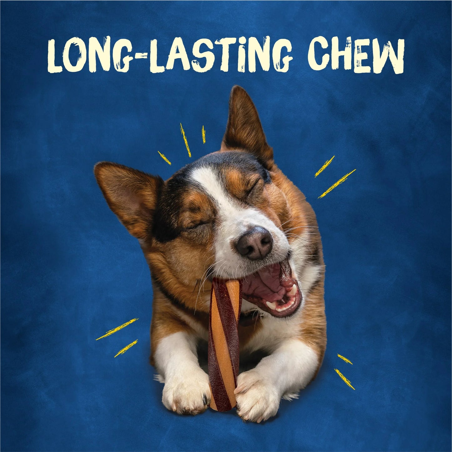 Purina Busy with Beggin’ Twist’D Cheddar and Hickory Smoked Flavors Adult Dog Treat