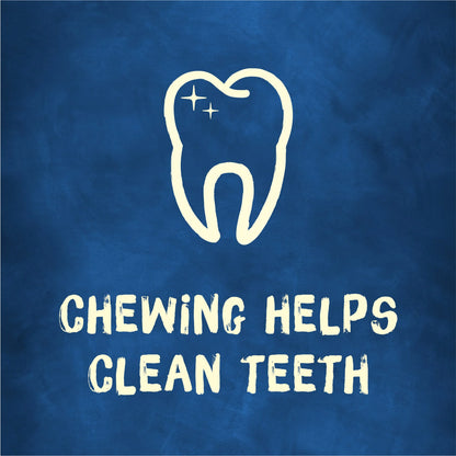 Purina  Extra Small Dog Treats with Real Pork, Long-Lasting Chews, 6.5 Oz Pouch (10 Count)